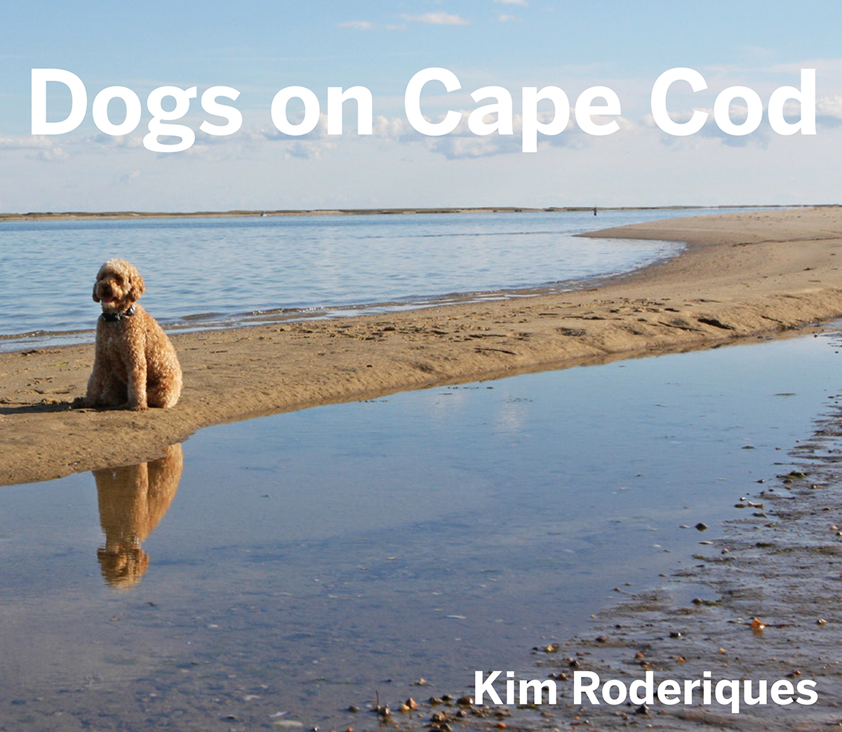 Cape Cod Goes to the Dogs in Photo Book by Kim Roderiques Boston Magazine