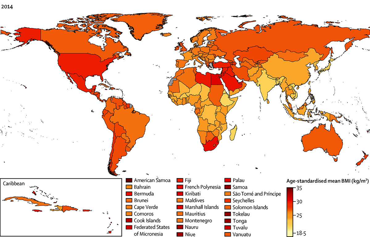 study-worldwide-obesity-rates-outpace-underweight-rates