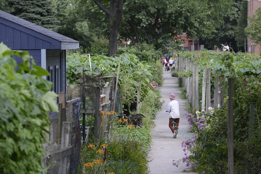 The South End Garden Tour Is Back