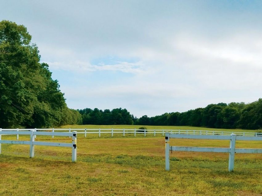 On The Market: A Picture-perfect Farm In Walpole