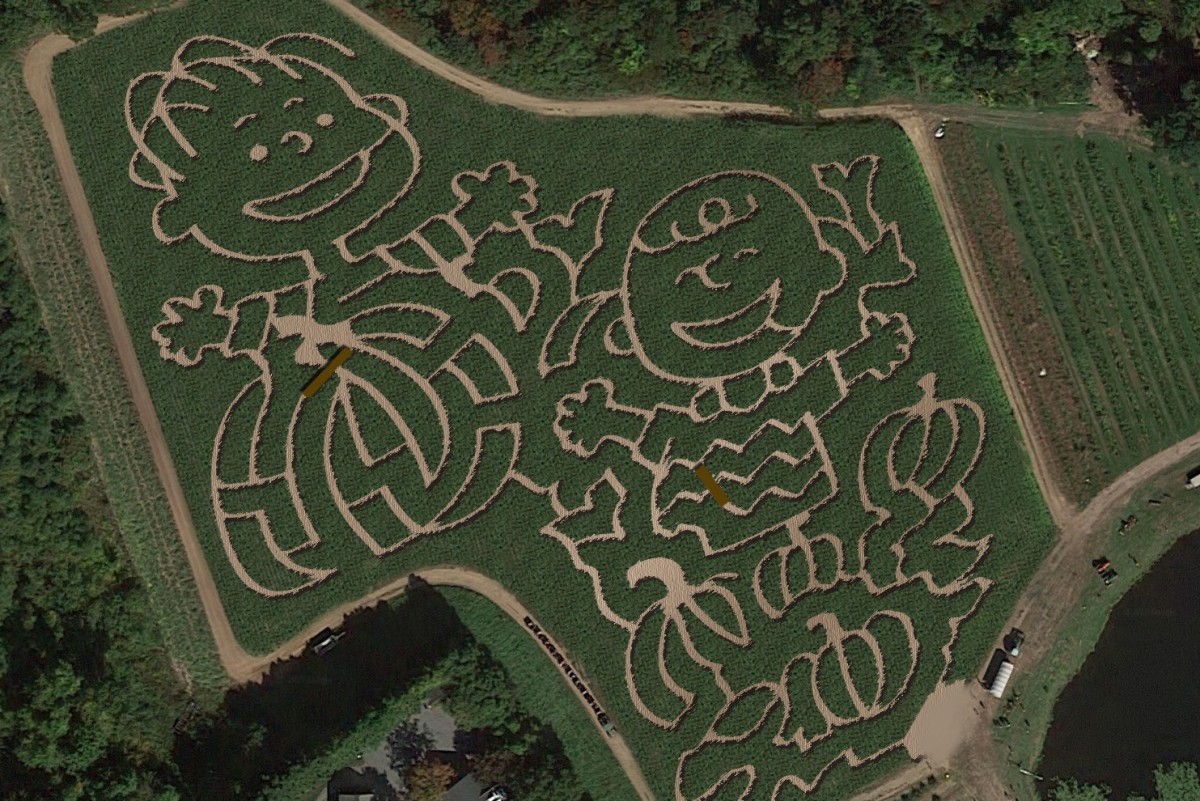 Charlie Brown Mazes Pop Up In Massachusetts