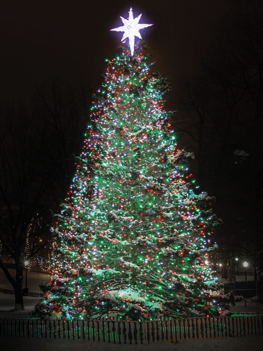 The Boston Common Christmas Tree, By the Numbers - Boston Magazine