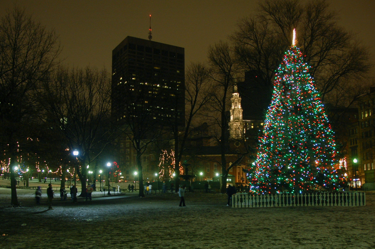 Boston Common Tree Lighting Costs Canadians 242,000