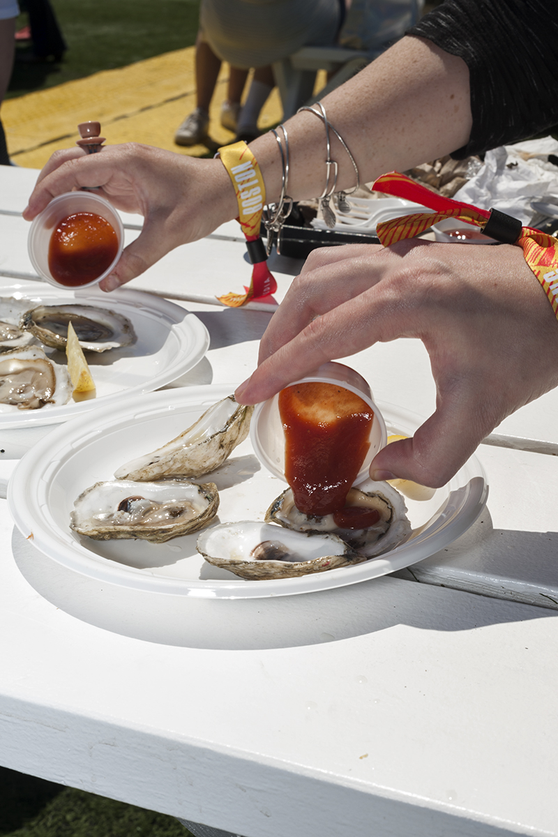 Standish Shore Oysters from Duxbury, at Boston Calling courtesy of Shuck Food Truck