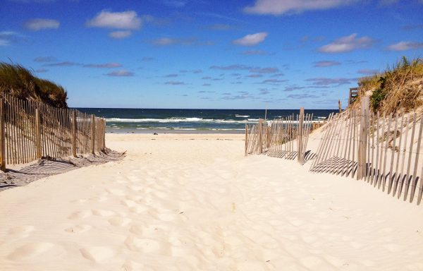 What is so special about a Cape Cod summer?