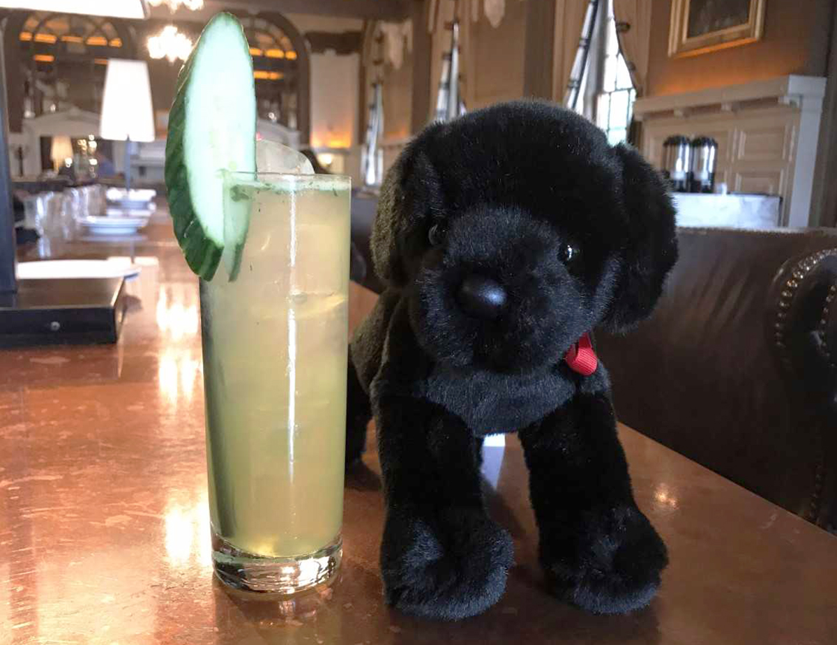 Catie's Cooler—and a fluffy, stuffed Catie Copley lookalike—at Oak Long Bar