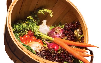 Fruit Bowl - Wilson Farm