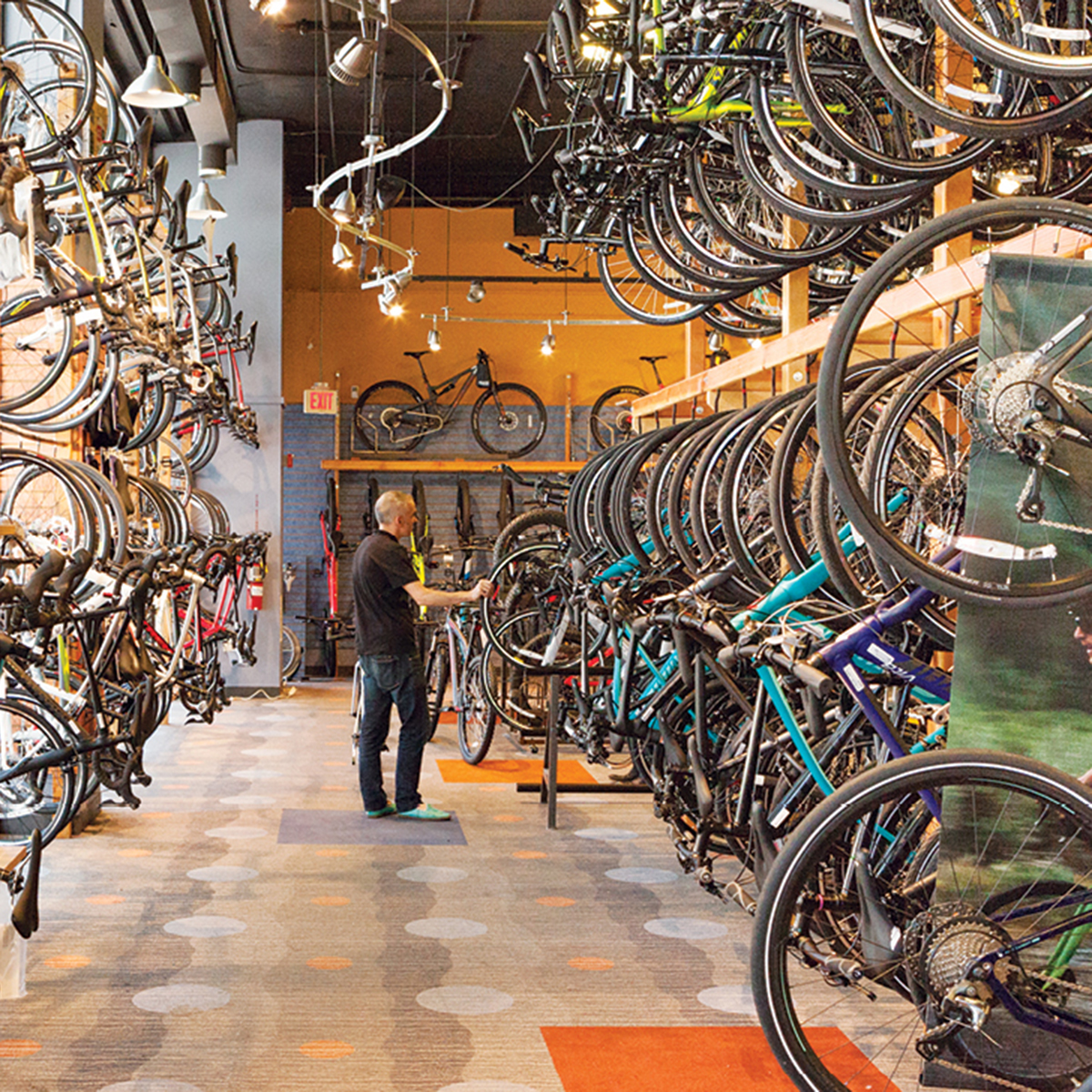 the closest bike shop