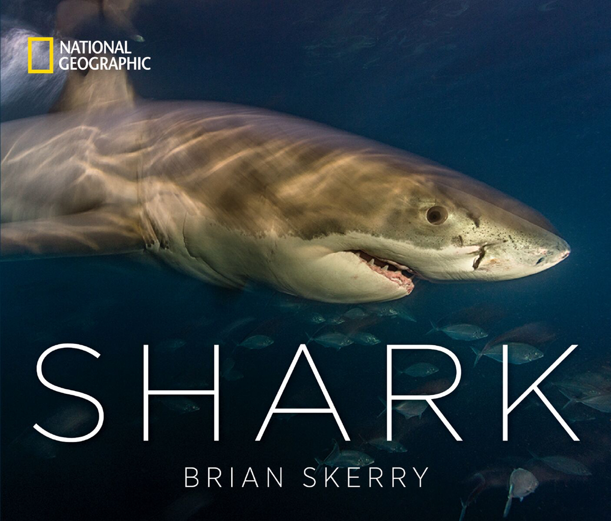 Brian Skerry shark book photography