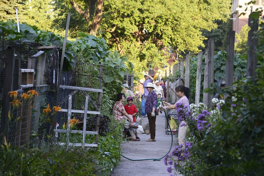 Tour the South End's Gardens and Pocket Parks This Weekend