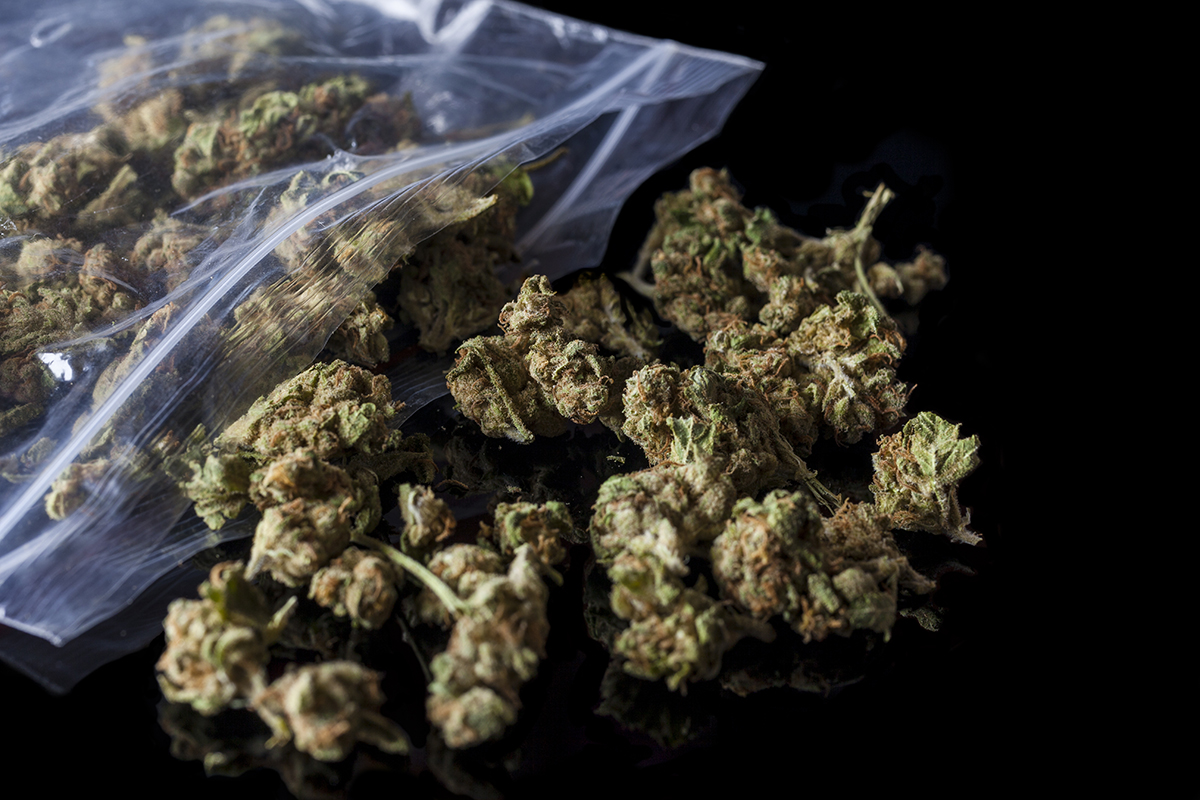 Maine Dispensary Owner Rewards Good Citizens with Free Weed