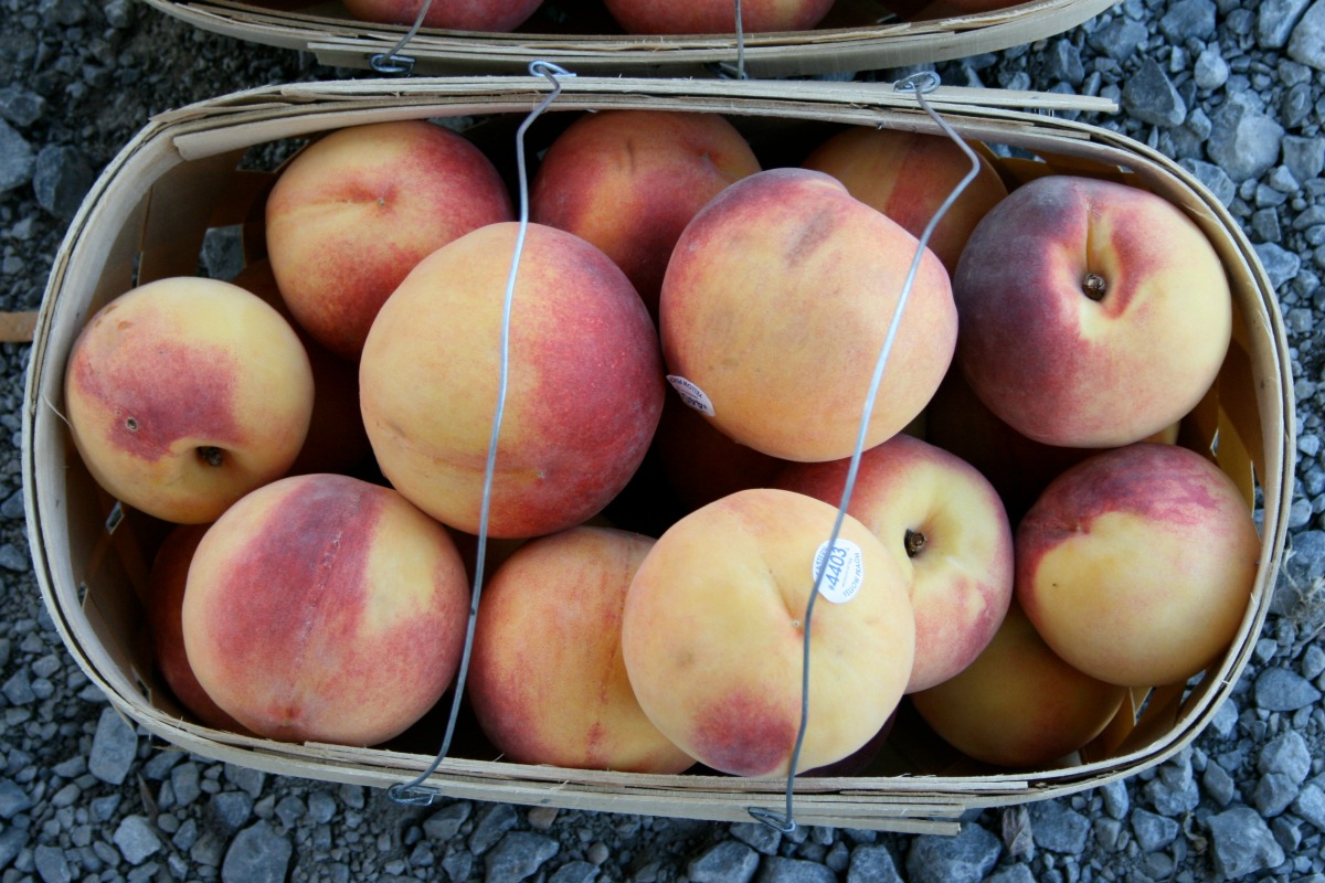 11 Healthy Peaches Recipes to Make This Summer