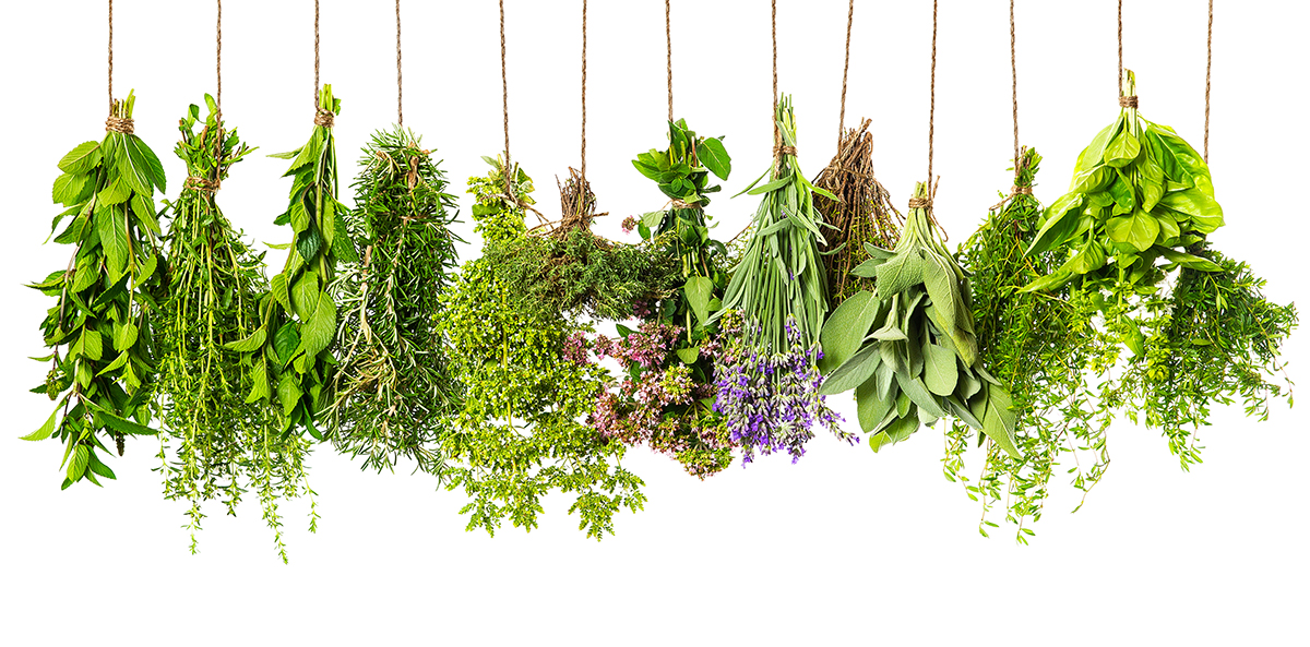 What to Do with Leftover Fresh Herbs Before They Go Bad on {keyword}