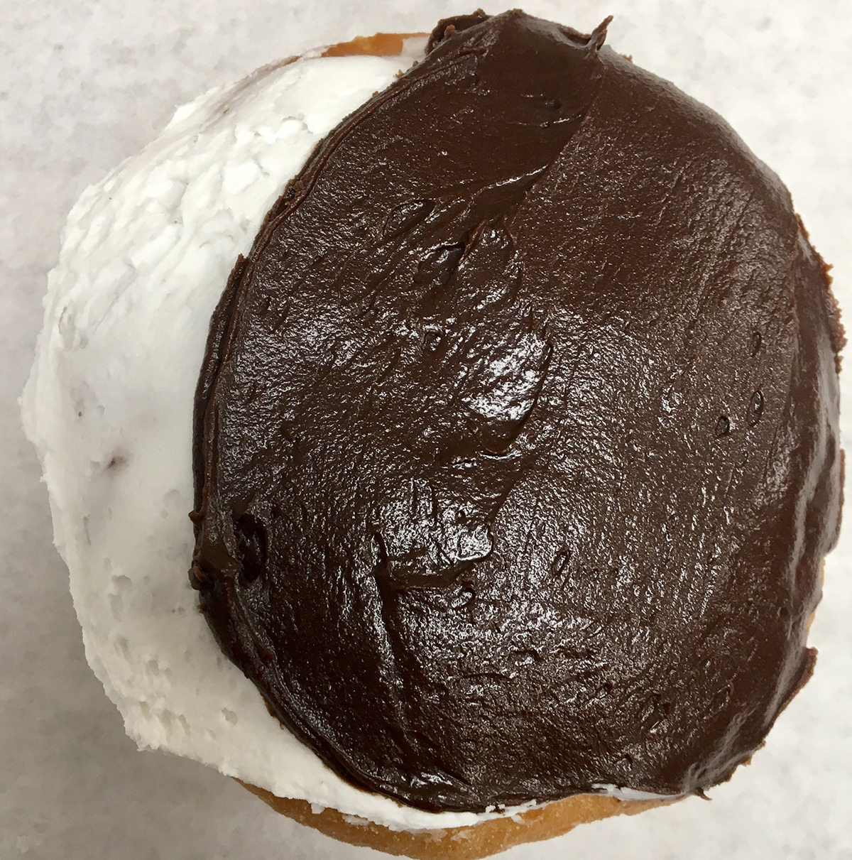 Kane's solar eclipse Boston cream doughnut