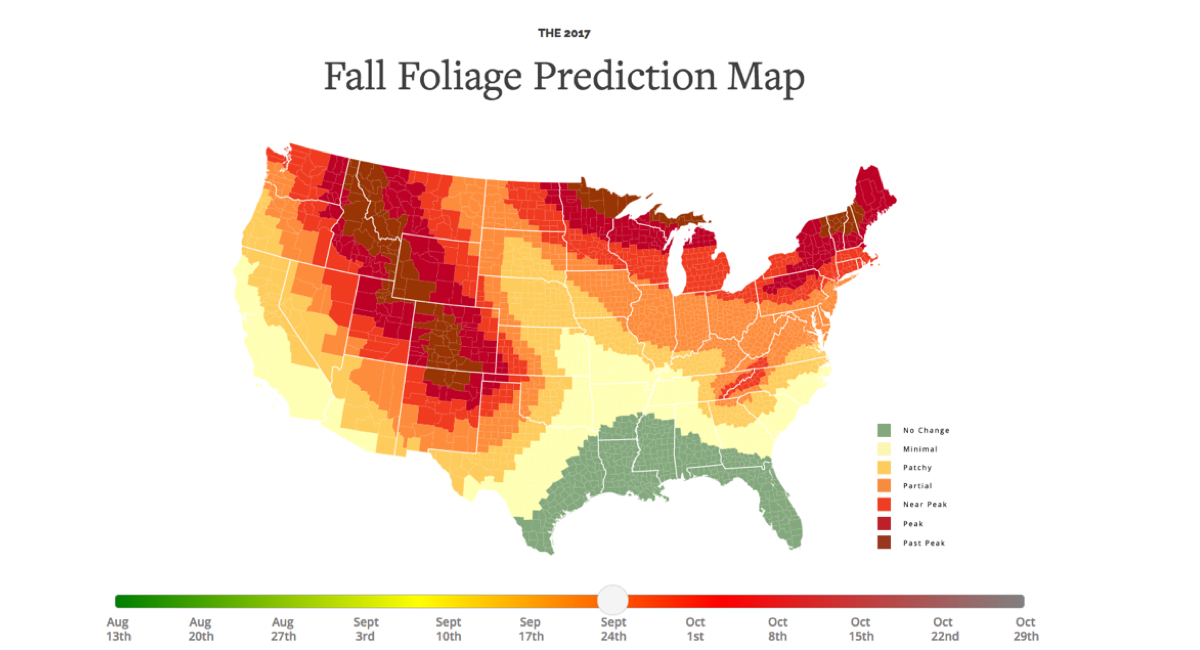 This Fall Foliage Map Is the Best Way to Track the Leaves This Season