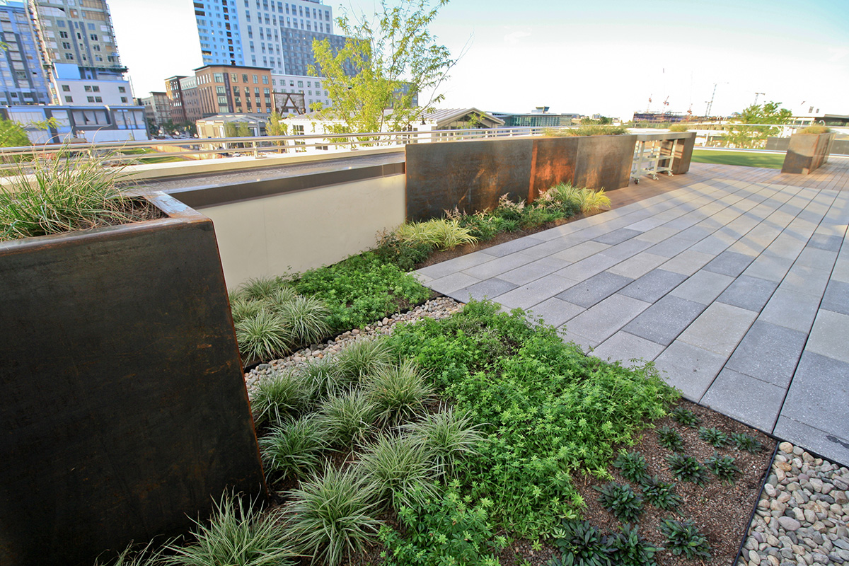 recover green roofs