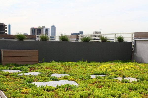 recover green roofs