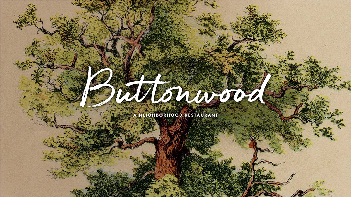 Buttonwood Newton