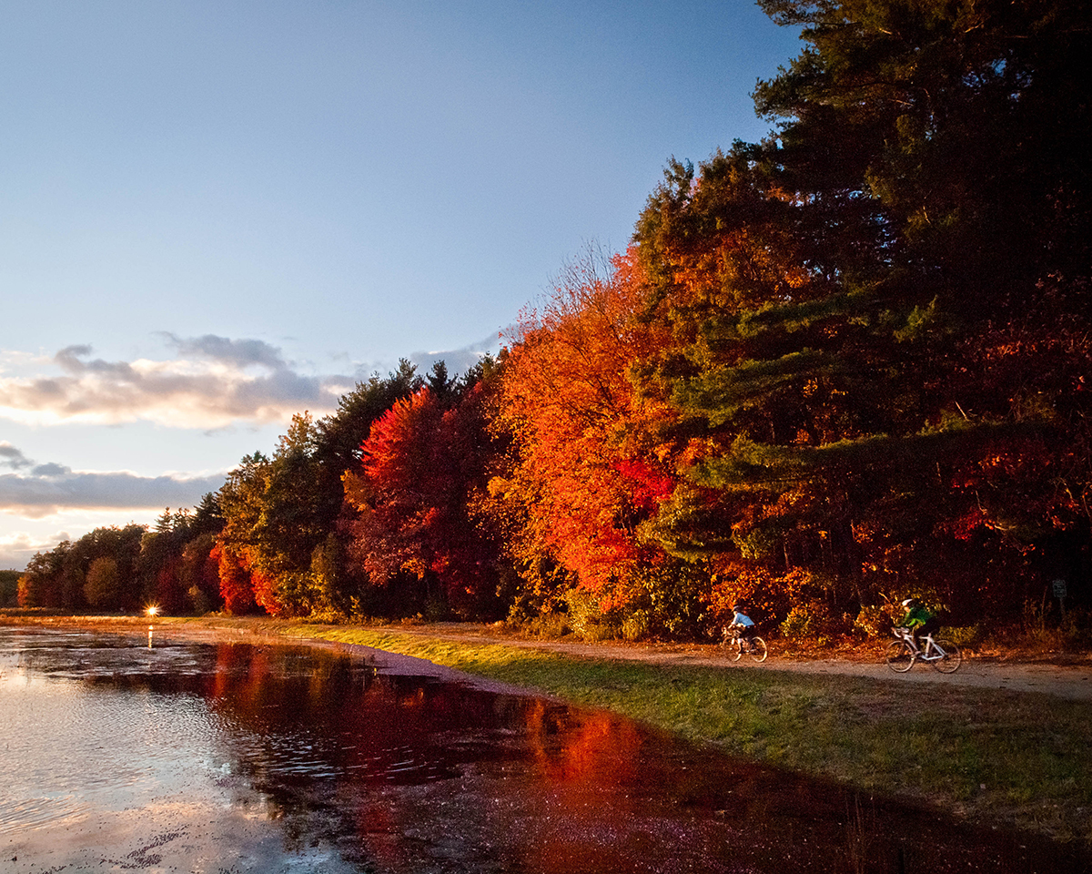 10 Fall Foliage Runs in Massachusetts You Should Try