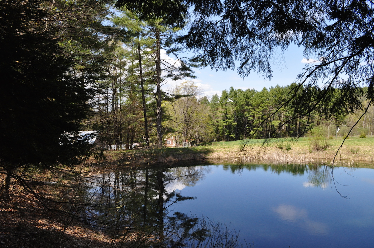 Pond at Saint-Gaudens National Historic Site.