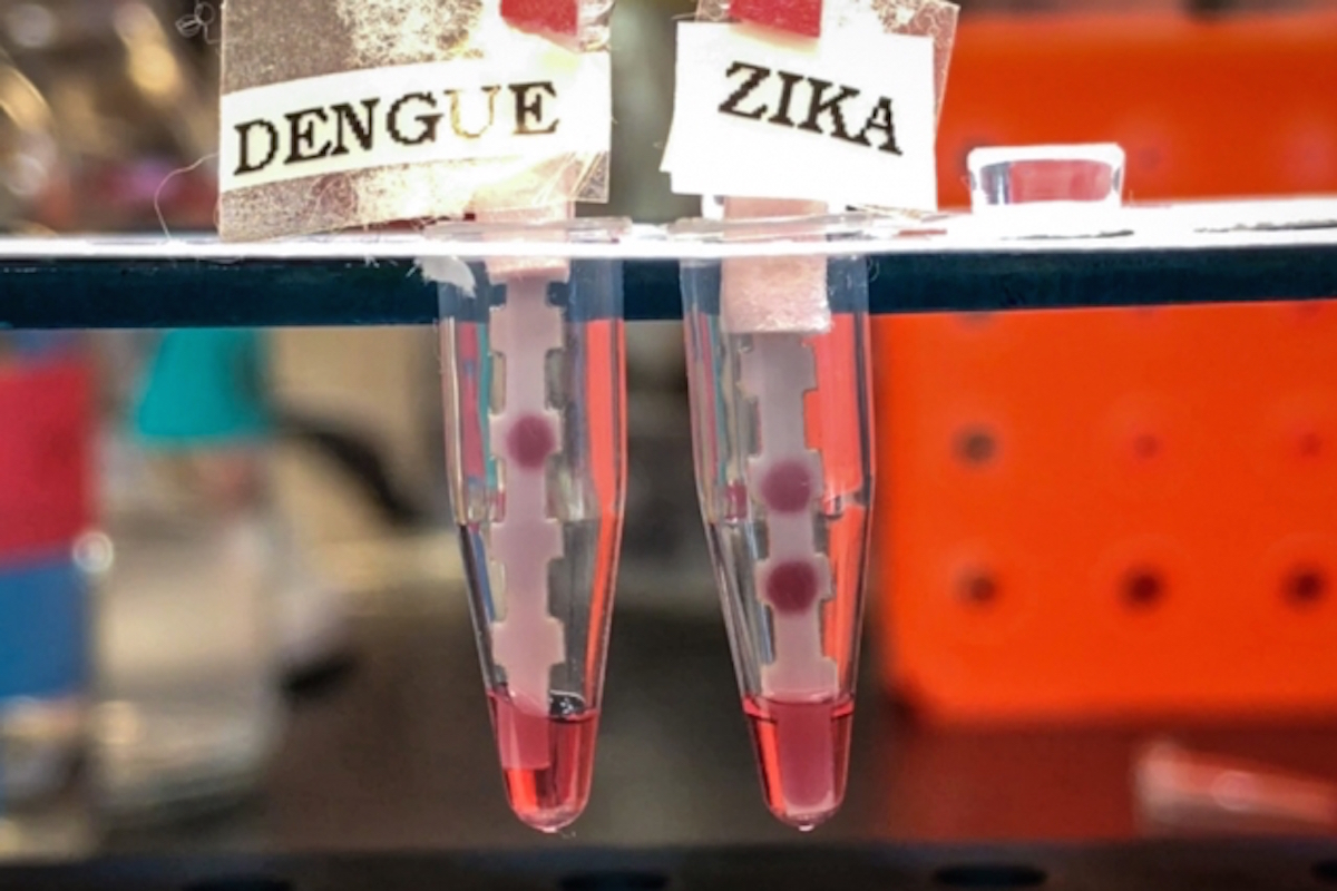 Paper tests for Zika and Dengue