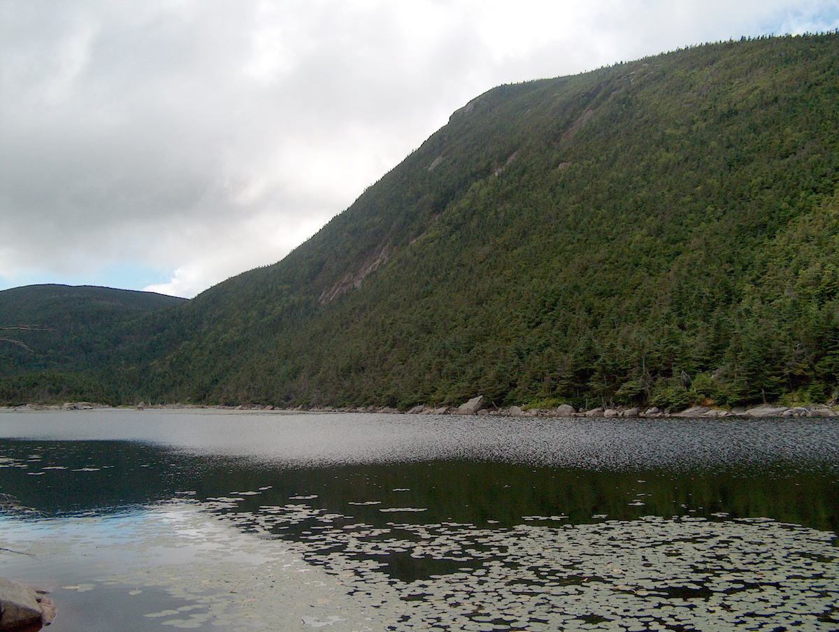 Kinsman Mountain's north peak on an overcast day