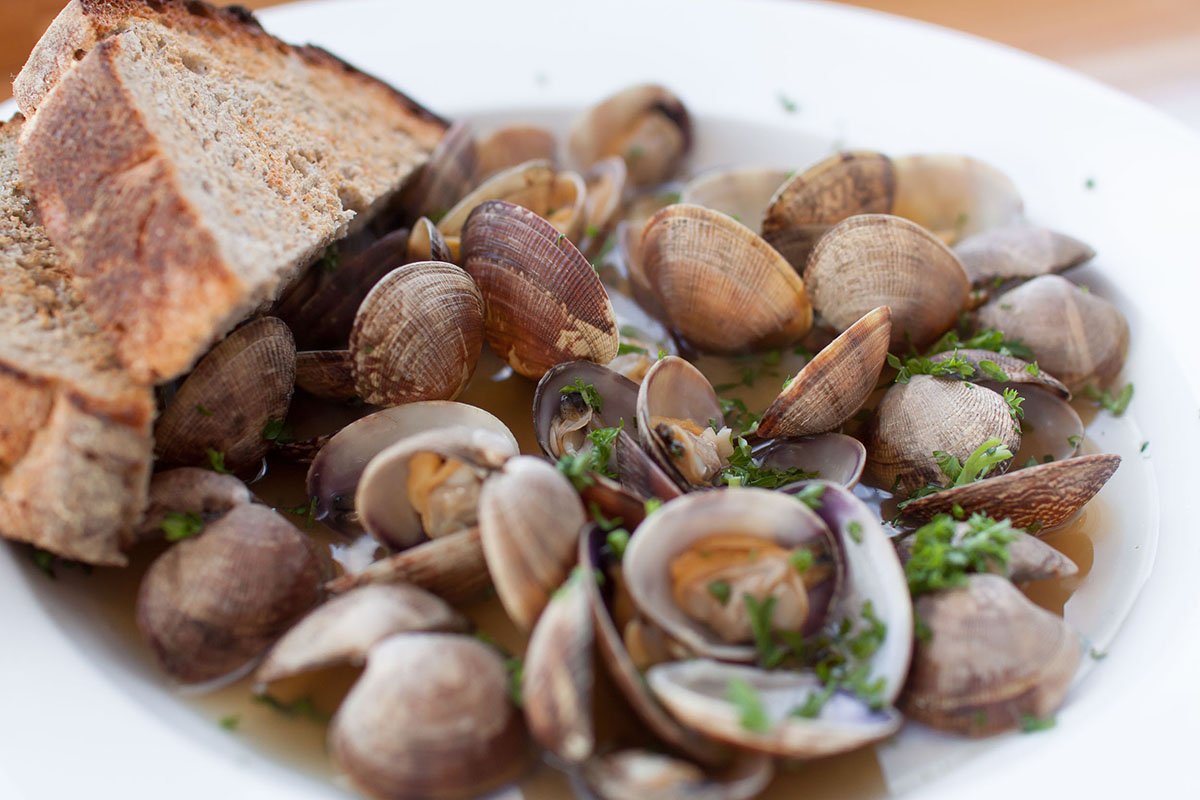 MANILA CLAMS with FAT TIRE ALE BROTH. at NOCA Provisions