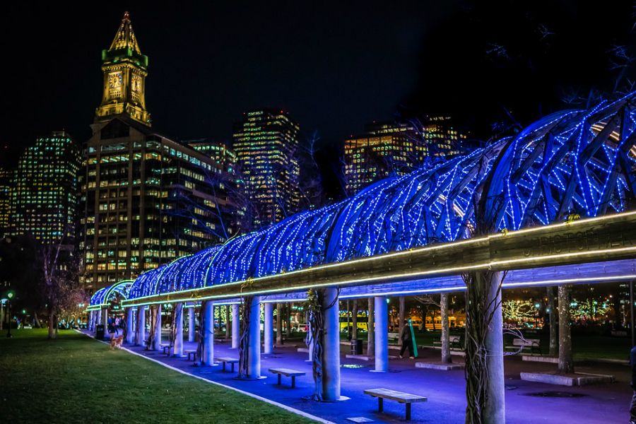 Holiday Trellis Lighting, November 2017