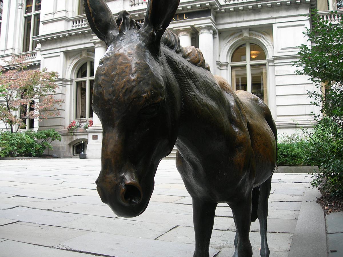 city hall donkey