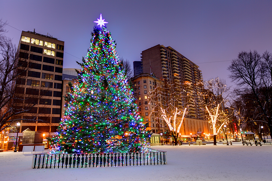 A Christmas tree lit up on Boston Common