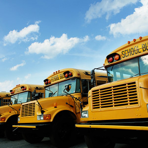 A line of yellow school buses