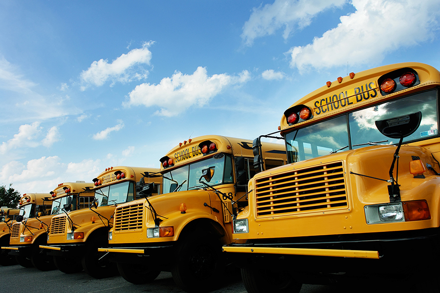 A line of yellow school buses