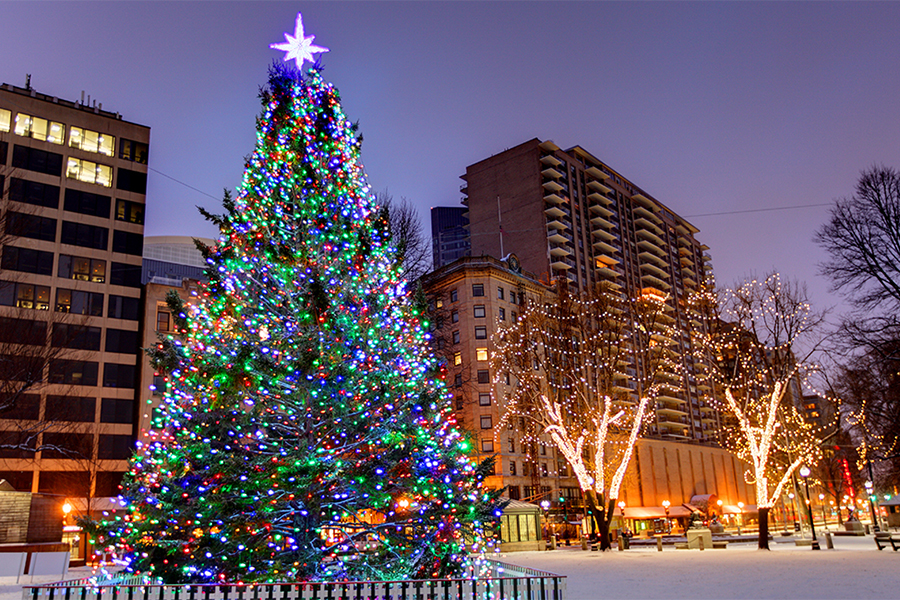 christmas boston tree lighting december things england holiday festive season common denistangneyjr istock via