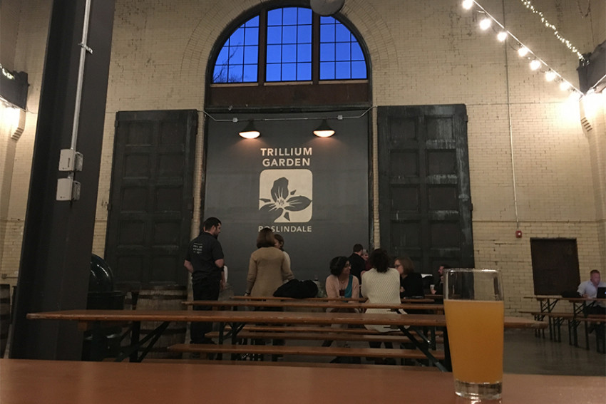 First Look The Trillium Garden at the Roslindale Substation