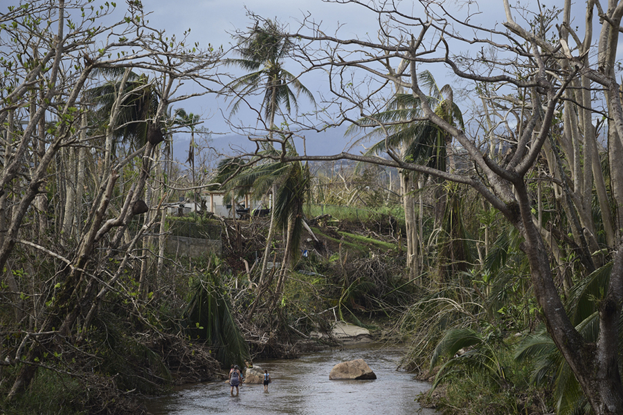 A couple bathes in a river beneath strewn palm trees in Puerto Rico