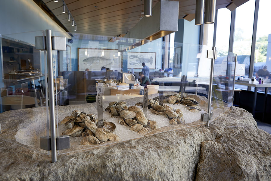 The oyster bar at Eventide Fenway