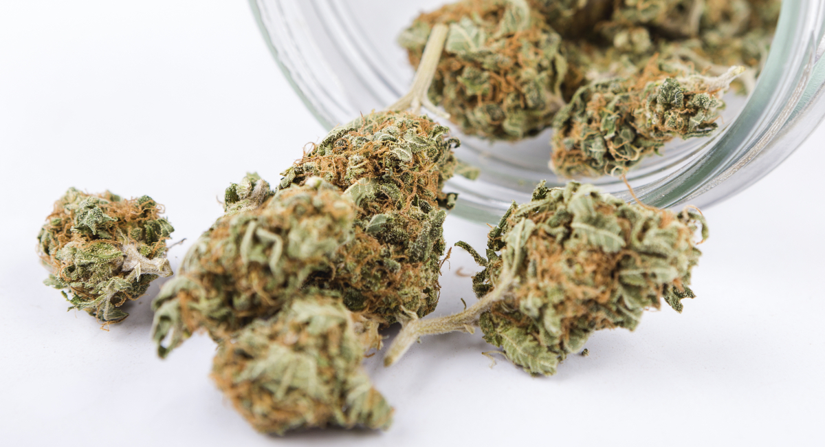 Recreational Marijuana Applications Open in Massachusetts