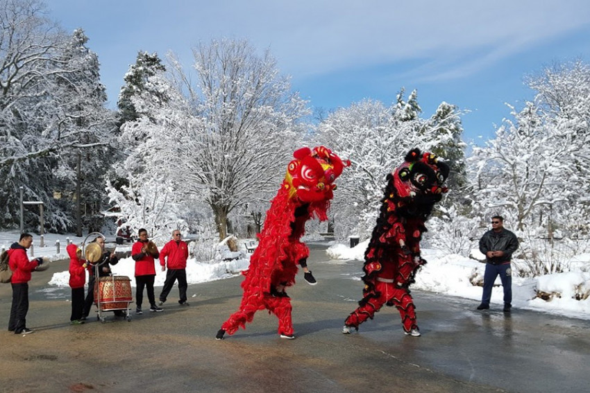 boston chinese new year celebration