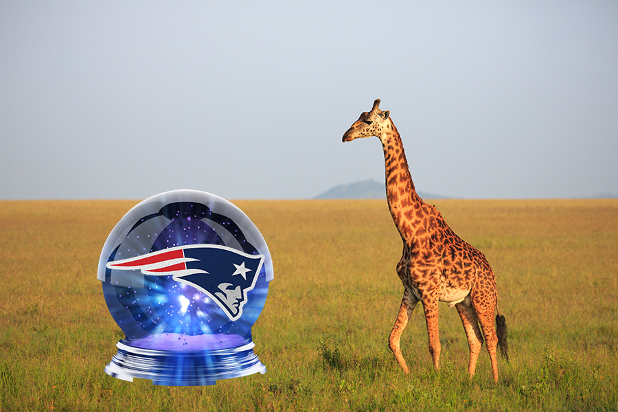 A crystal ball with the Patriots logo inside it is looked at by a giraffe