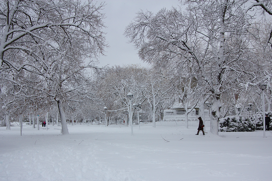 Cambridge Common park near Harvard University campus in Cambridge, MA, USA covered in snow after a blizzard.