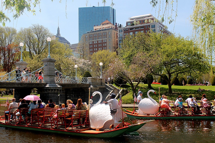 Swan Boats at the Public Garden