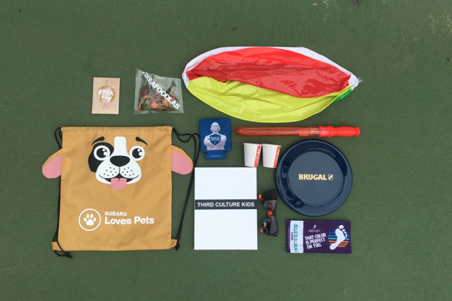 An overhead shot of free things including a frisbee, a beach ball, and a drawstring backpack