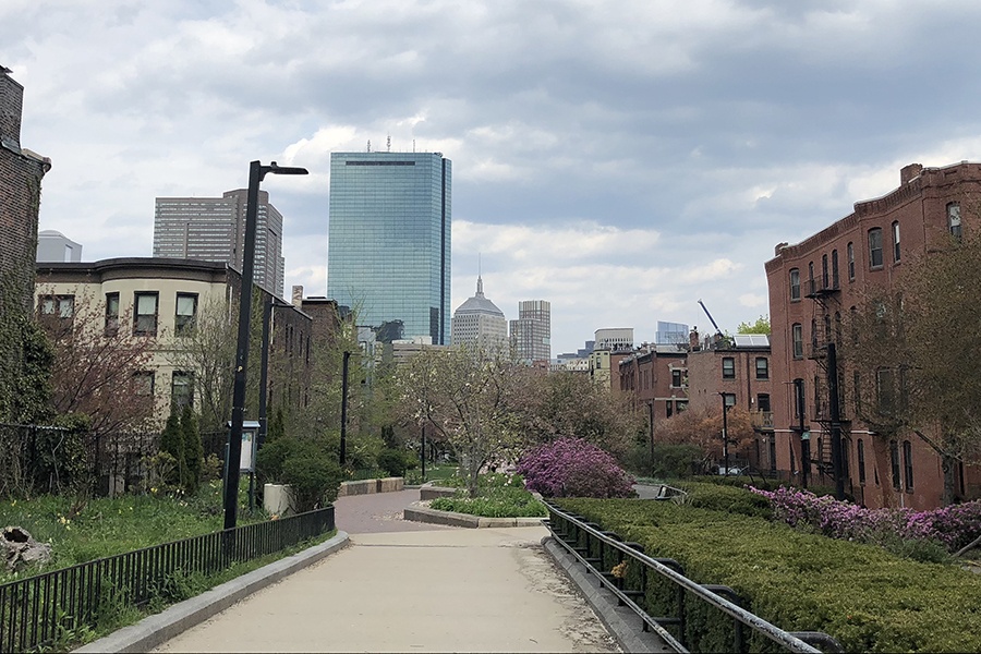 A green park with a glass building in the background