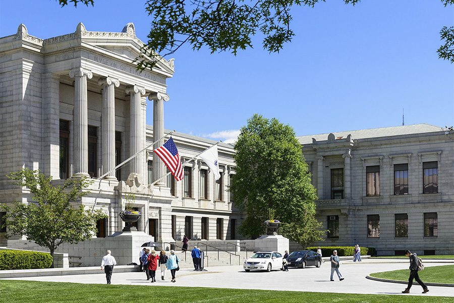 museum of fine arts