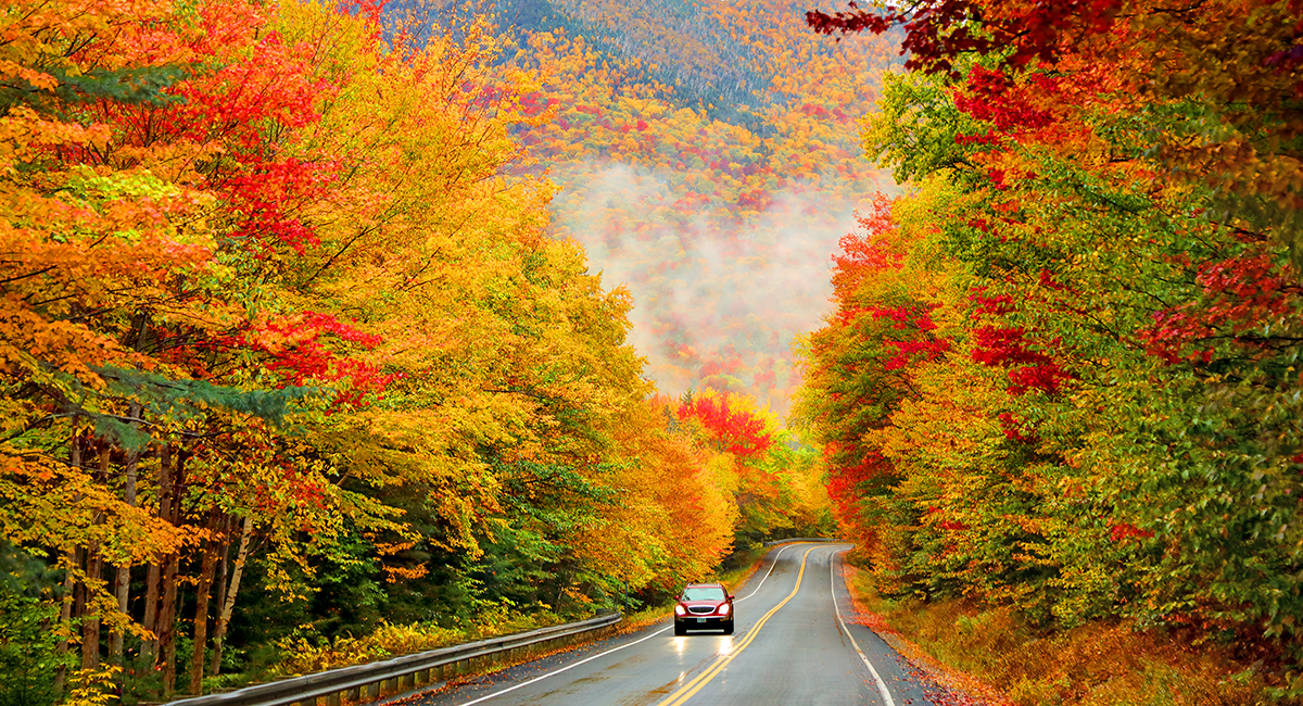 Fall Foliage Boston: 18 Best Leaf Peeping Spots in New England For