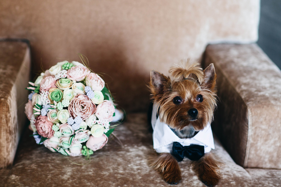 dog in your wedding