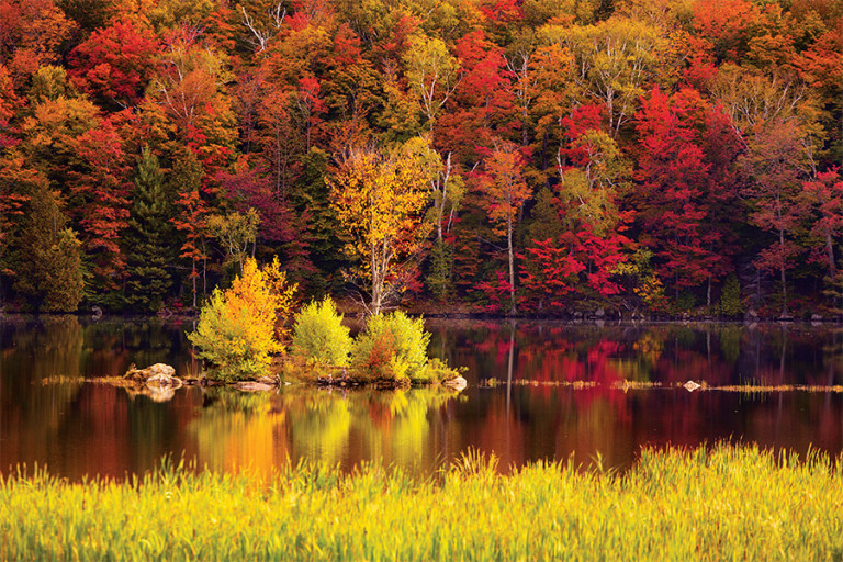 New England Road Trip Guide: The Definitive Vermont Foliage Tour