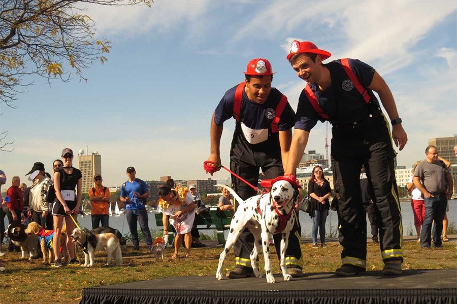 halloween events canine promenade