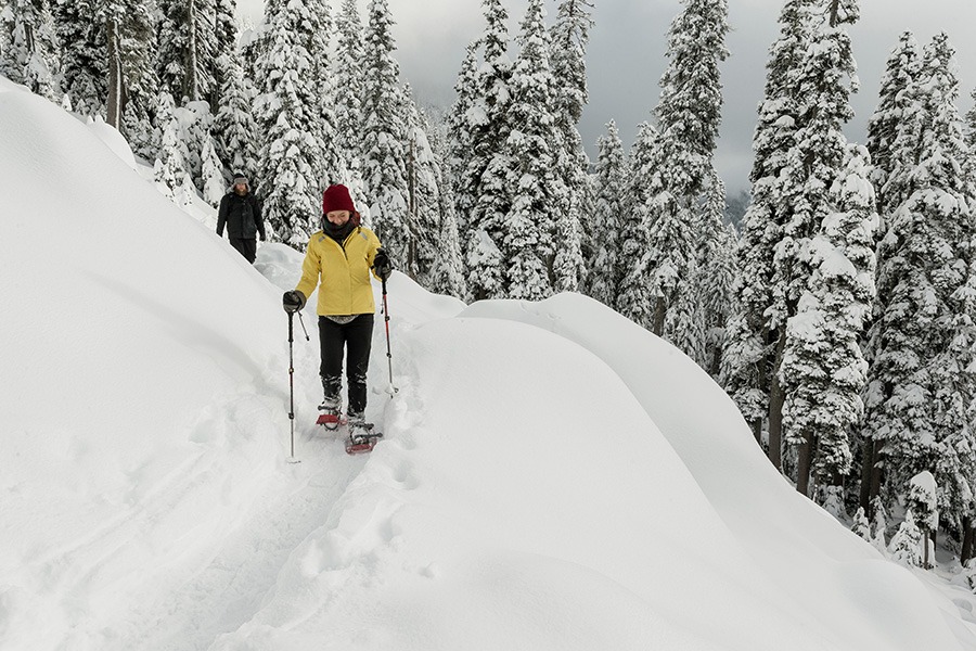 REI snowshoe