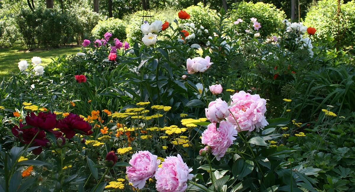 Peek Into Eight Secret Gardens Around New England This Summer